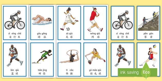 综合体育新闻滚动更新 赛程赛果数据同步呈现