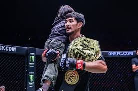 再见巴黎！以你们为豪！