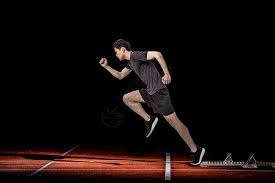 罗伊·哈勒戴在费城人投出完全比赛，该赛季其统治力达到职业生涯最高点